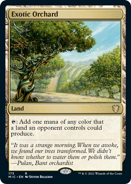 Exotic Orchard [MIC - 173]