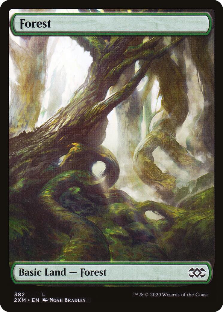 Forest (382) [2XM - 382]