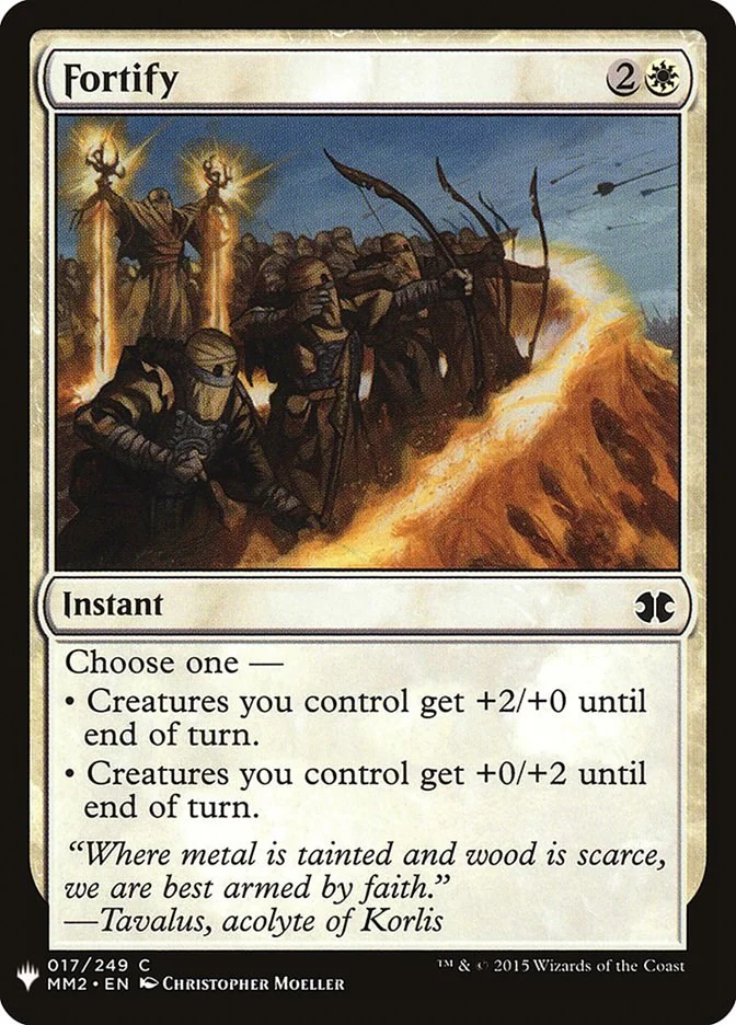 Fortify [LIST - 17]