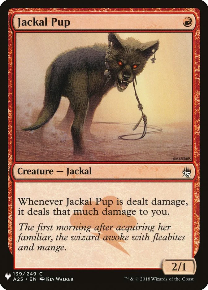 Jackal Pup [LIST - 139]