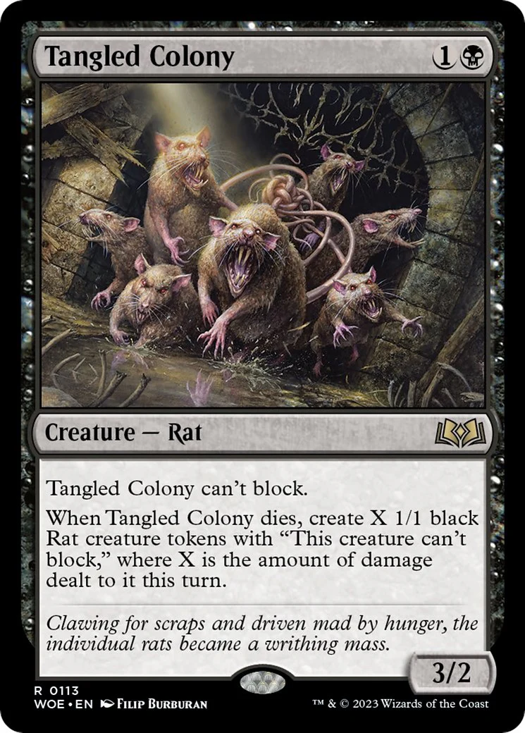 Tangled Colony [WOE - 113]